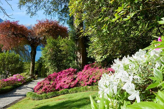 Tour image 11